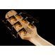 Бас-гитара Spector NS-6 Flamed Maple