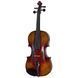 Акустична скрипка Hidersine Espressione Violin Set Strad.