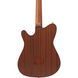 Классическая гитара Ibanez FRH10N-NTF