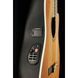 Акустична гітара Ovation Celebrity Tradition CS-24C-4-G
