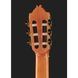 Классическая гитара Alhambra 8P w/Case