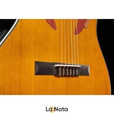 Акустическая гитара Ovation Celebrity Elite CE44C-4A-G