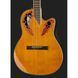 Акустическая гитара Ovation Celebrity Elite CE44C-4A-G
