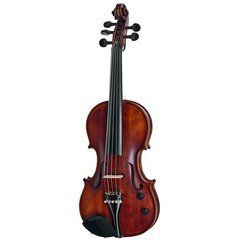 Електроскрипка Roth & Junius Acoustic-Electric Violin 5-Str