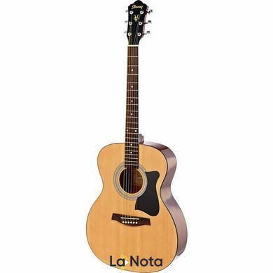 Акустическая гитара Ibanez VC50NJP-NT