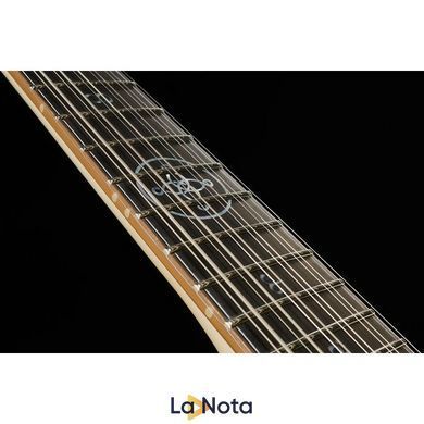 Електрогітара Schecter Wayne Hussey Corsair 12 IVY