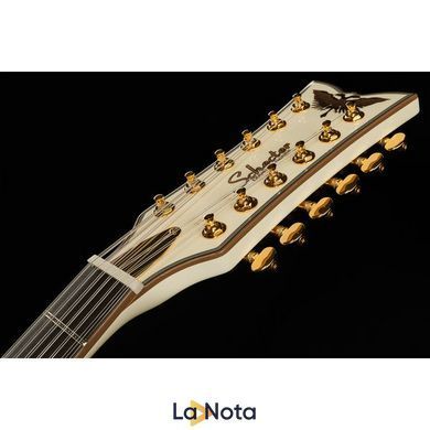 Електрогітара Schecter Wayne Hussey Corsair 12 IVY