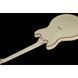 Електрогітара Schecter Wayne Hussey Corsair 12 IVY