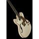 Електрогітара Schecter Wayne Hussey Corsair 12 IVY