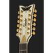 Електрогітара Schecter Wayne Hussey Corsair 12 IVY