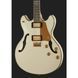 Електрогітара Schecter Wayne Hussey Corsair 12 IVY