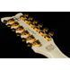 Електрогітара Schecter Wayne Hussey Corsair 12 IVY