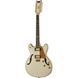 Електрогітара Schecter Wayne Hussey Corsair 12 IVY