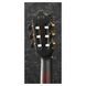 Классическая гитара Ibanez GA35TCE-DVS