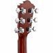 Акустическая гитара Ibanez VC50NJP-NT