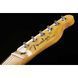 Електрогітара Fender Player Plus Tele MN Aged CAR