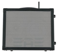 Комбопідсилювач Elite Acoustics M2-6 Acoustic Amplifier