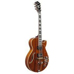 Електрогітара Ibanez AG95K-NT