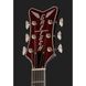 Електрогитара Gretsch G6134TFM-NH Nigel Hendroff DC