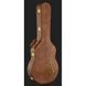 Електрогитара Gibson Les Paul Standard 60s DT VBB