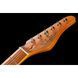 Електрогитара Schecter PT Special 3TSBP