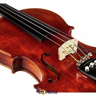 Акустична скрипка Roth & Junius Europe Antiqued Violin Set 1/4