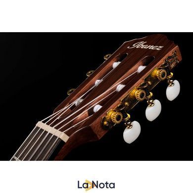 Классическая гитара Ibanez AEG50N-NT Nylon