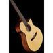 Классическая гитара Ibanez AEG50N-NT Nylon