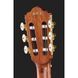 Классическая гитара Ibanez AEG50N-NT Nylon