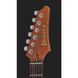 Електрогітара Ibanez AZ2204N-AWD