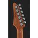Електрогітара Ibanez AZ2204N-AWD
