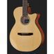 Классическая гитара Ibanez AEG50N-NT Nylon