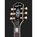 Електрогитара Epiphone Matt Heafy LP Custom Origins EB