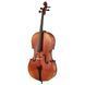 Виолончель Gewa Allegro VC1 A Cello 1/2 CB