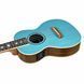 Укулеле Fender Dhani Harrison Ukulele Tq