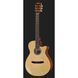 Классическая гитара Ibanez AEG50N-NT Nylon