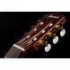 Классическая гитара Ibanez AEG50N-NT Nylon