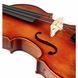 Акустична скрипка Startone Student III Violin Set 4/4