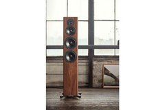 Напольная акустика Dynaudio Evoke 50 Walnut Wood