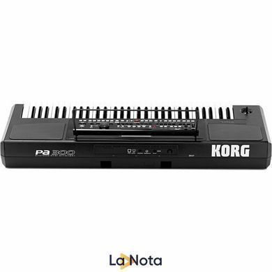 Рабоча станція Korg PA300, Чорний