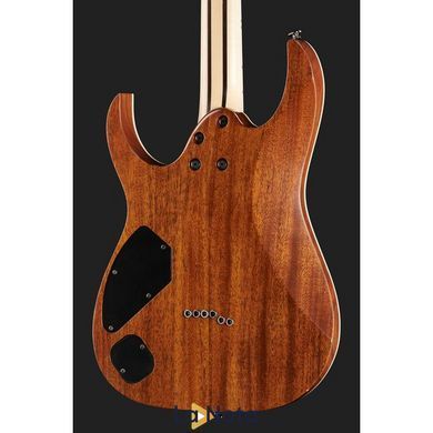 Електрогітара Ibanez RGR5221-TFR Prestige
