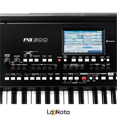 Рабоча станція Korg PA300, Чорний