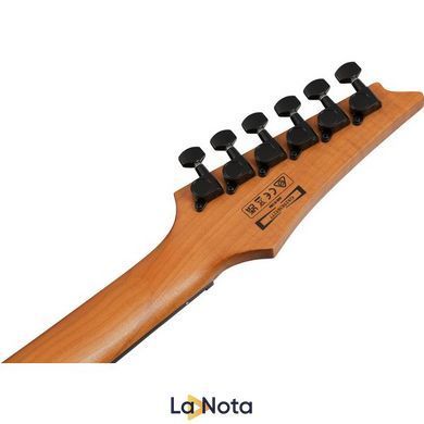 Електрогітара Ibanez GRGR221FA-TDK