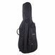Акустическая виолончель Thomann Classic Cello Set 4/4