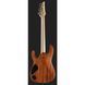 Електрогітара Ibanez RGR5221-TFR Prestige