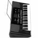Рабоча станція Korg PA300, Чорний