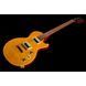 Електрогітара Epiphone Slash AFD LP Performance Pack
