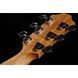 Акустическая гитара Furch Violet Gc-SM SPE (MC)-Masters