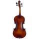 Акустическая скрипка Fidelio Student Plus Violin Set 3/4