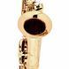 Саксофон Thomann ASBGM Custom Line Alto Sax